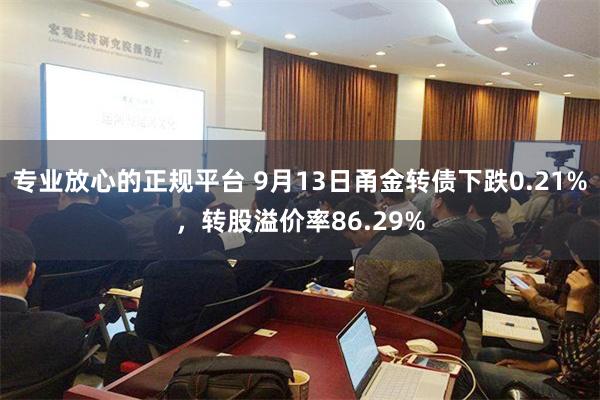 专业放心的正规平台 9月13日甬金转债下跌0.21%，转股溢价率86.29%