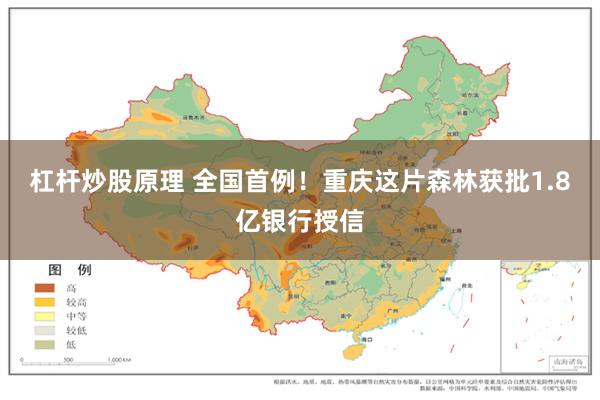 杠杆炒股原理 全国首例！重庆这片森林获批1.8亿银行授信