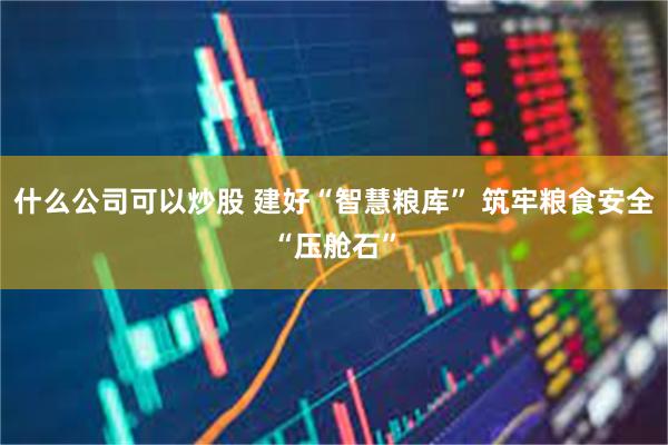 什么公司可以炒股 建好“智慧粮库” 筑牢粮食安全“压舱石”