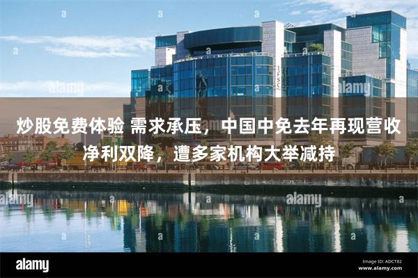 炒股免费体验 需求承压，中国中免去年再现营收净利双降，遭多家机构大举减持