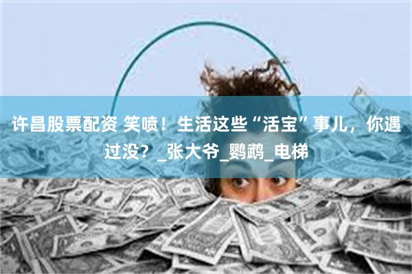许昌股票配资 笑喷！生活这些“活宝”事儿，你遇过没？_张大爷_鹦鹉_电梯