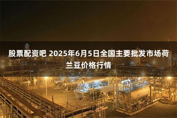 股票配资吧 2025年6月5日全国主要批发市场荷兰豆价格行情