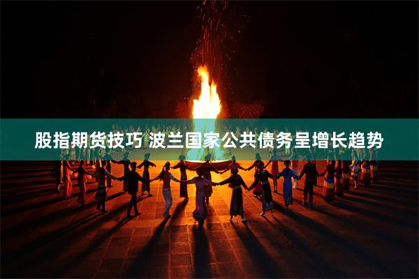 股指期货技巧 波兰国家公共债务呈增长趋势