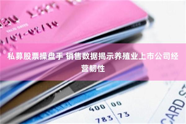 私募股票操盘手 销售数据揭示养殖业上市公司经营韧性