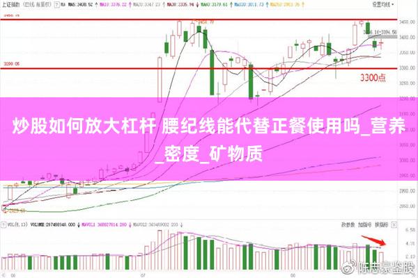 炒股如何放大杠杆 腰纪线能代替正餐使用吗_营养_密度_矿物质