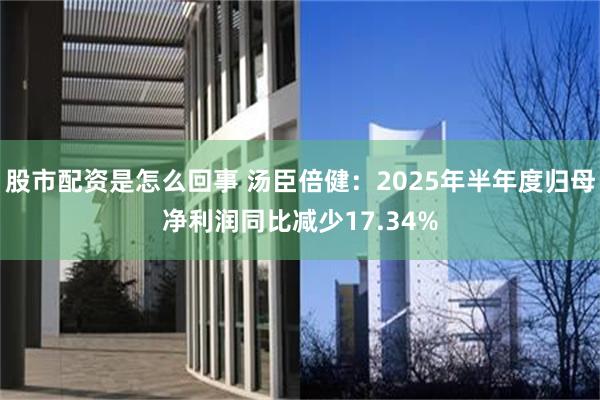 股市配资是怎么回事 汤臣倍健：2025年半年度归母净利润同比减少17.34%