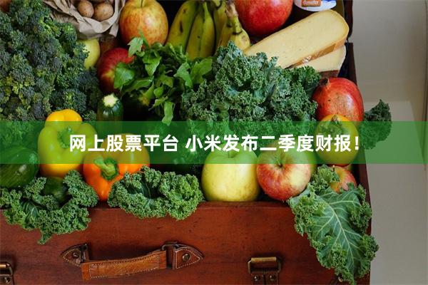 网上股票平台 小米发布二季度财报！