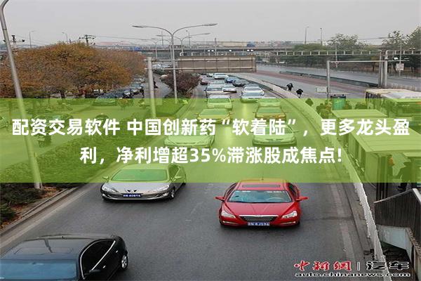 配资交易软件 中国创新药“软着陆”，更多龙头盈利，净利增超35%滞涨股成焦点!