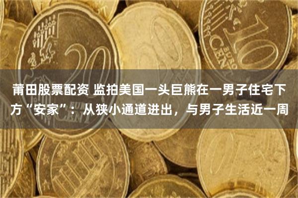 莆田股票配资 监拍美国一头巨熊在一男子住宅下方“安家”:从狭小通道进出,与男子生活近一周
