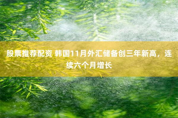 股票推荐配资 韩国11月外汇储备创三年新高,连续六个月增长