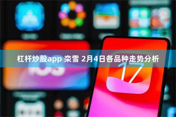 杠杆炒股app 栾雪 2月4日各品种走势分析