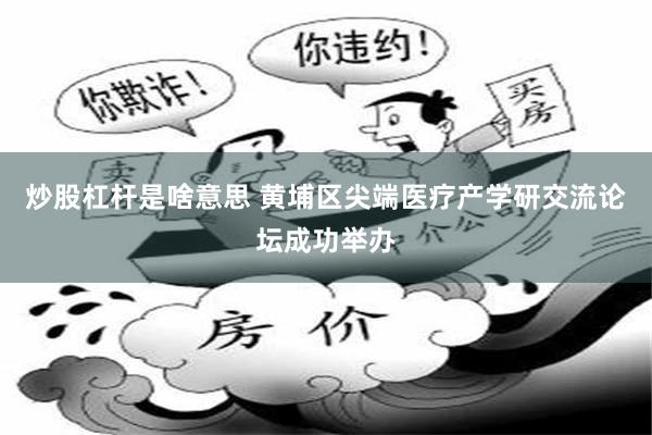 炒股杠杆是啥意思 黄埔区尖端医疗产学研交流论坛成功举办