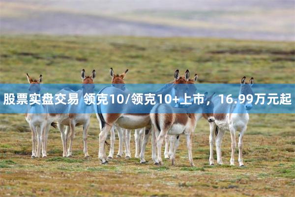 股票实盘交易 领克10/领克10+上市，16.99万元起