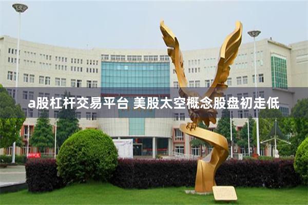 a股杠杆交易平台 美股太空概念股盘初走低