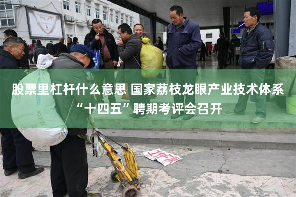 股票里杠杆什么意思 国家荔枝龙眼产业技术体系“十四五”聘期考评会召开