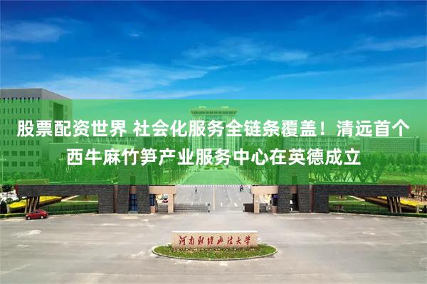 股票配资世界 社会化服务全链条覆盖！清远首个西牛麻竹笋产业服务中心在英德成立
