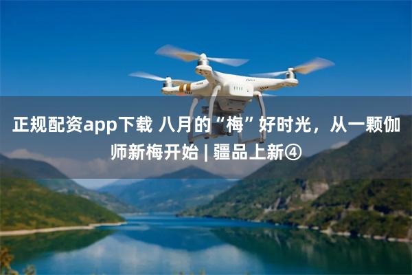 正规配资app下载 八月的“梅”好时光，从一颗伽师新梅开始 | 疆品上新④