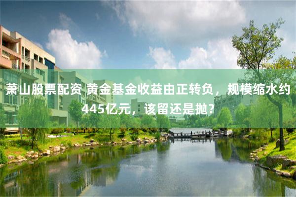 萧山股票配资 黄金基金收益由正转负，规模缩水约445亿元，该留还是抛？