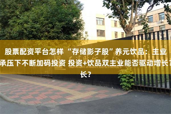 股票配资平台怎样 “存储影子股”养元饮品：主业承压下不断加码投资 投资+饮品双主业能否驱动增长？