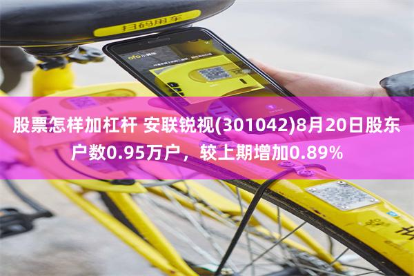 股票怎样加杠杆 安联锐视(301042)8月20日股东户数0.95万户，较上期增加0.89%