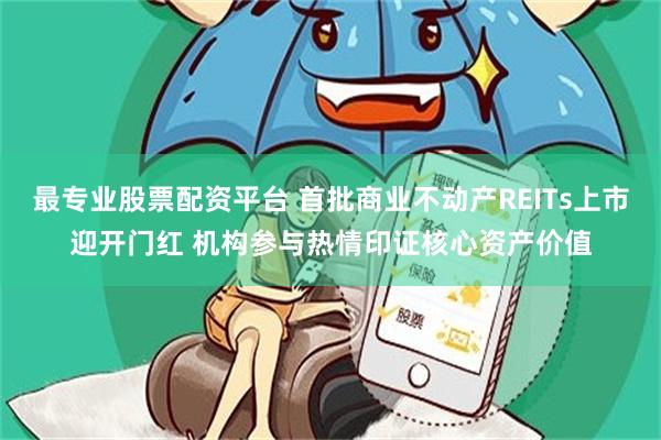 最专业股票配资平台 首批商业不动产REITs上市迎开门红 机构参与热情印证核心资产价值