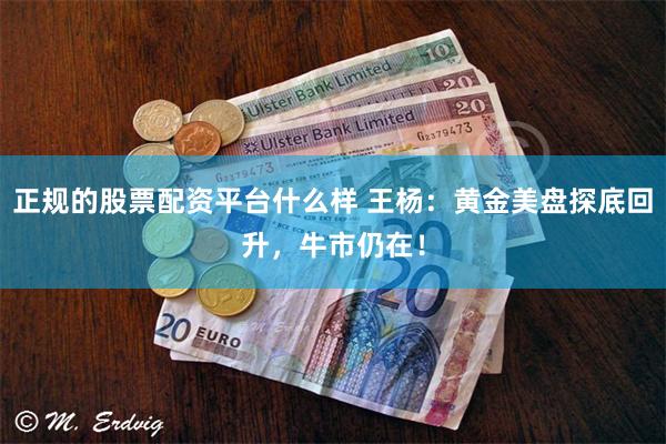 正规的股票配资平台什么样 王杨：黄金美盘探底回升，牛市仍在！