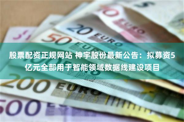 股票配资正规网站 神宇股份最新公告：拟募资5亿元全部用于智能领域数据线建设项目