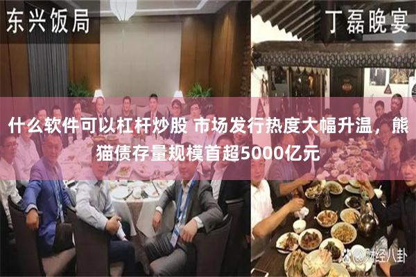 什么软件可以杠杆炒股 市场发行热度大幅升温，熊猫债存量规模首超5000亿元