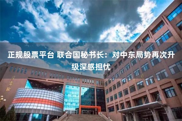 正规股票平台 联合国秘书长：对中东局势再次升级深感担忧