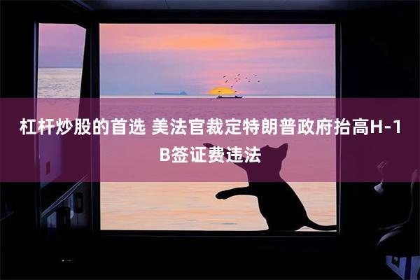 杠杆炒股的首选 美法官裁定特朗普政府抬高H-1B签证费违法