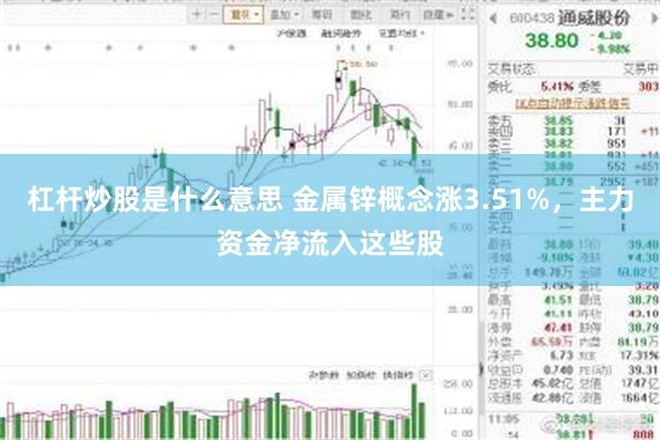 杠杆炒股是什么意思 金属锌概念涨3.51%,主力资金净流入这些股
