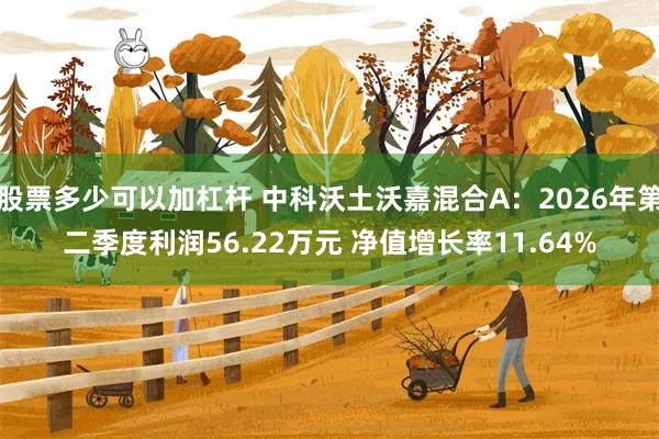 股票多少可以加杠杆 中科沃土沃嘉混合A：2026年第二季度利润56.22万元 净值增长率11.64%