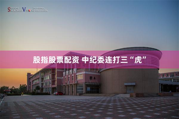 股指股票配资 中纪委连打三“虎”