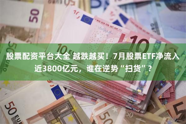 股票配资平台大全 越跌越买！7月股票ETF净流入近3800亿元，谁在逆势“扫货”？