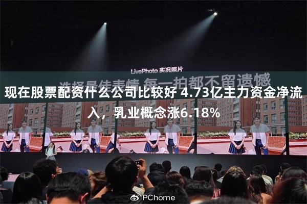 现在股票配资什么公司比较好 4.73亿主力资金净流入，乳业概念涨6.18%