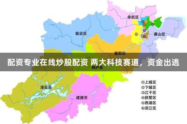 配资专业在线炒股配资 两大科技赛道，资金出逃