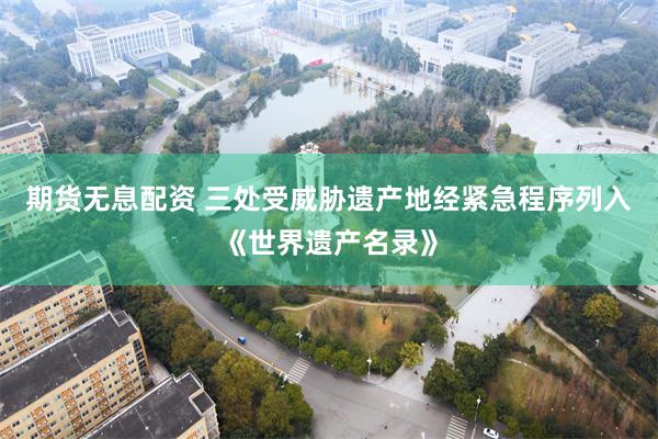 期货无息配资 三处受威胁遗产地经紧急程序列入《世界遗产名录》