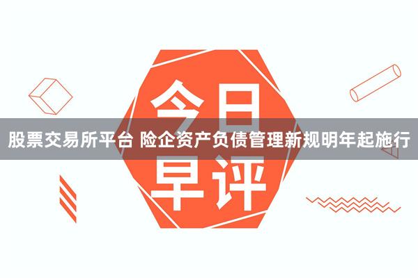 股票交易所平台 险企资产负债管理新规明年起施行