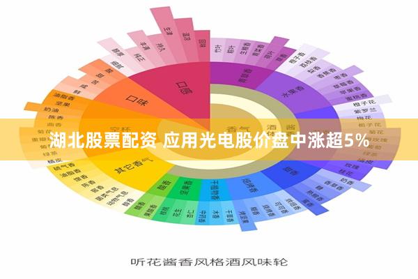 湖北股票配资 应用光电股价盘中涨超5%