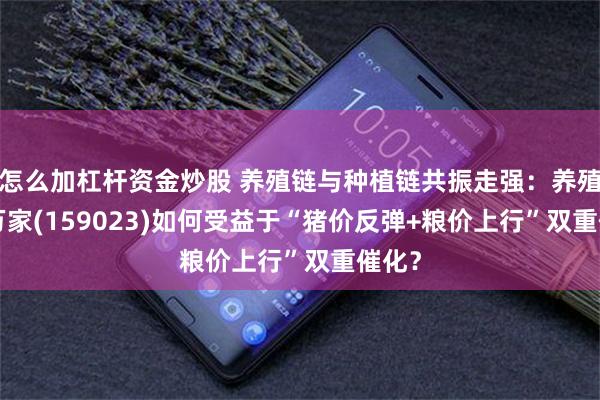 怎么加杠杆资金炒股 养殖链与种植链共振走强:养殖ETF万家(159023)如何受益于“猪价反弹+粮价上行”双重催化?