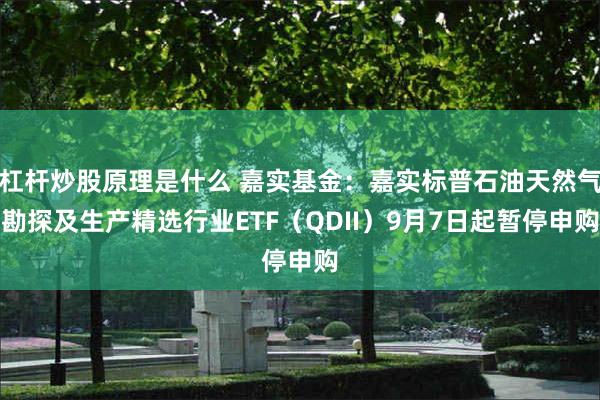 杠杆炒股原理是什么 嘉实基金：嘉实标普石油天然气勘探及生产精选行业ETF（QDII）9月7日起暂停申购