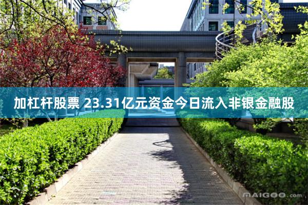 加杠杆股票 23.31亿元资金今日流入非银金融股