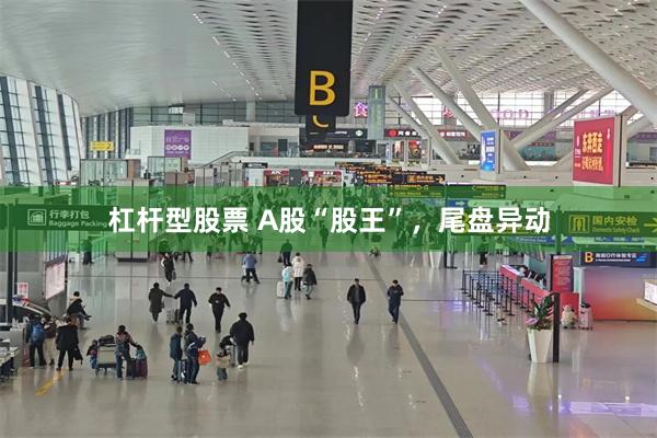 杠杆型股票 A股“股王”，尾盘异动