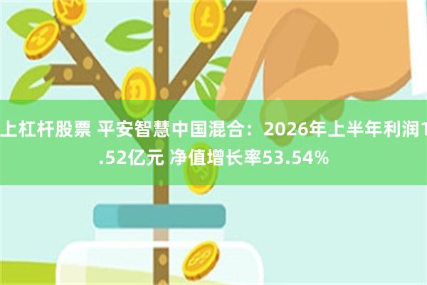 上杠杆股票 平安智慧中国混合：2026年上半年利润1.52亿元 净值增长率53.54%
