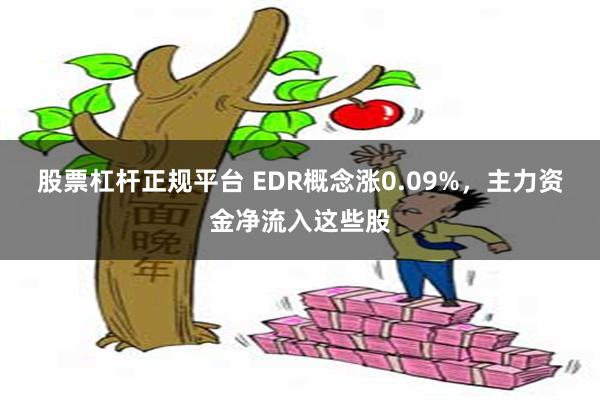 股票杠杆正规平台 EDR概念涨0.09%，主力资金净流入这些股