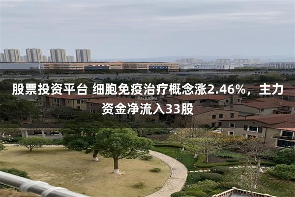 股票投资平台 细胞免疫治疗概念涨2.46%，主力资金净流入33股