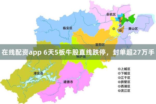 在线配资app 6天5板牛股直线跌停，封单超27万手