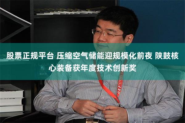 股票正规平台 压缩空气储能迎规模化前夜 陕鼓核心装备获年度技术创新奖