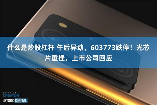 什么是炒股杠杆 午后异动，603773跌停！光芯片重挫，上市公司回应