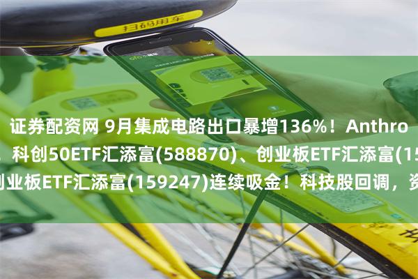 证券配资网 9月集成电路出口暴增136%！Anthropic今日发布Q3营收！科创50ETF汇添富(588870)、创业板ETF汇添富(159247)连续吸金！科技股回调，资金涌动